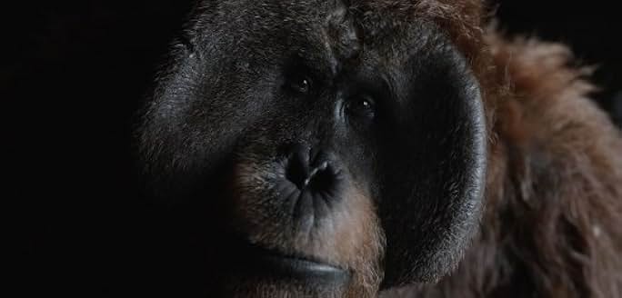 映画『アイアンマン』のポスター1