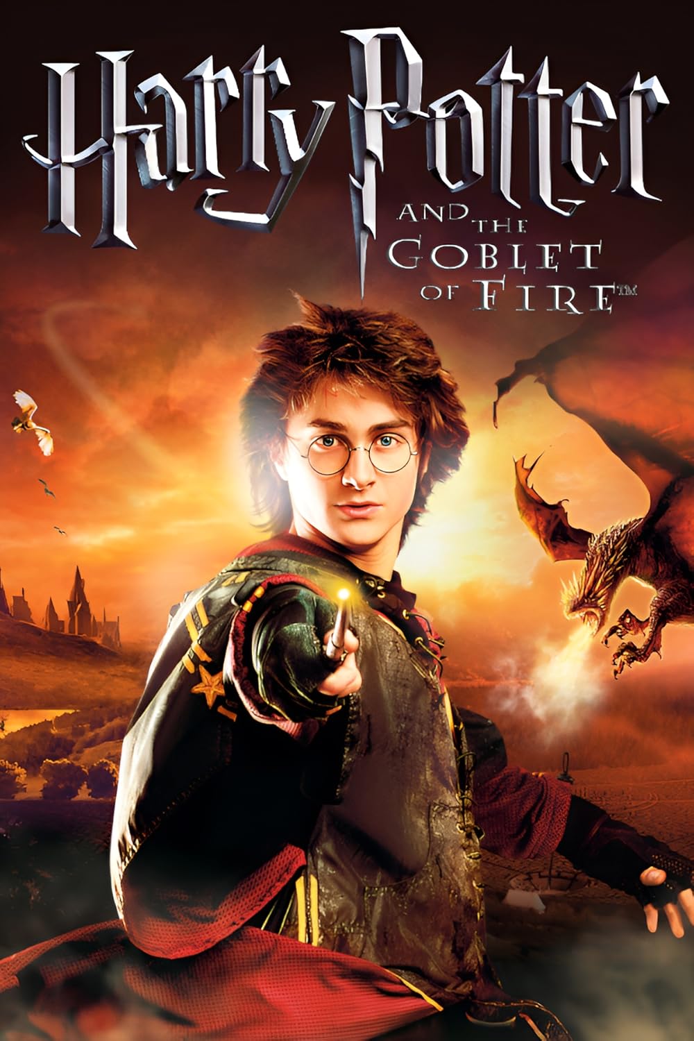 映画『ハリー・ポッターと炎のゴブレット』